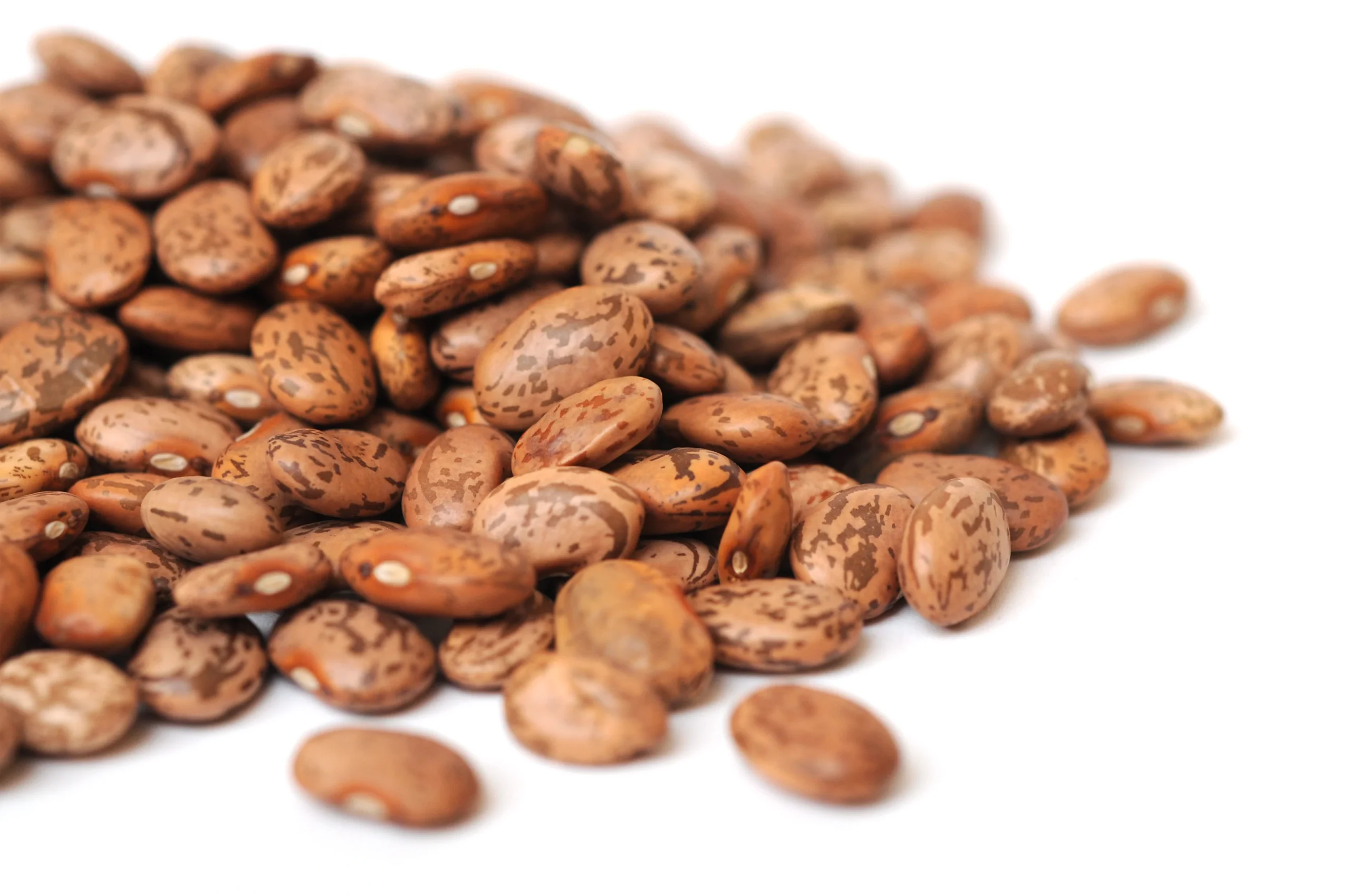 Pinto Shell Bean Seeds - Heirloom