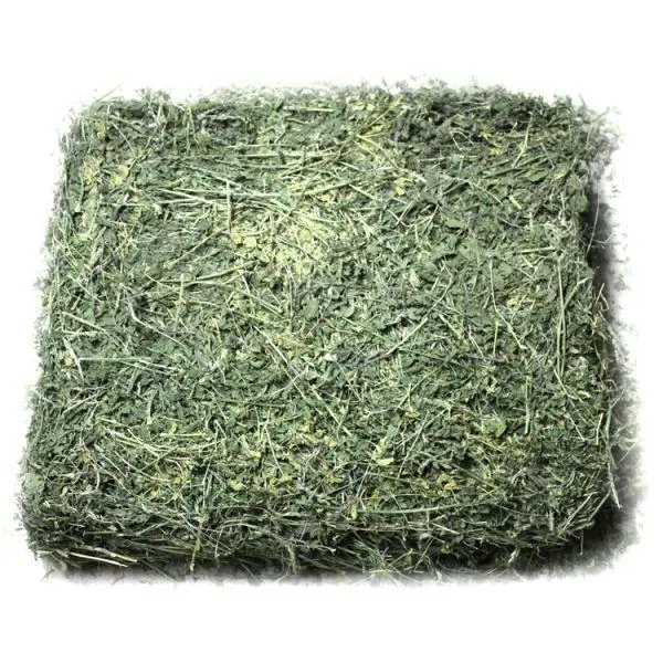 Hay Alfalfa – 17% CP 46% NDF