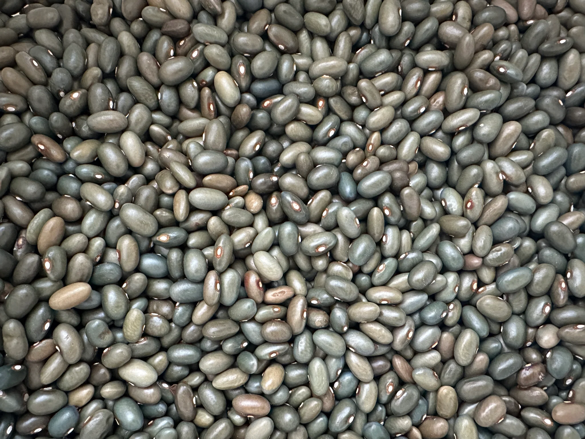 Malawi Green Beans