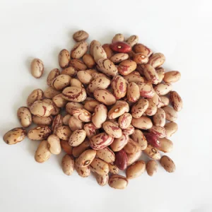 Dried Speckled Kidney Beans