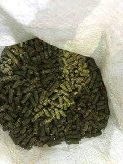 Alfalfa hay pellets