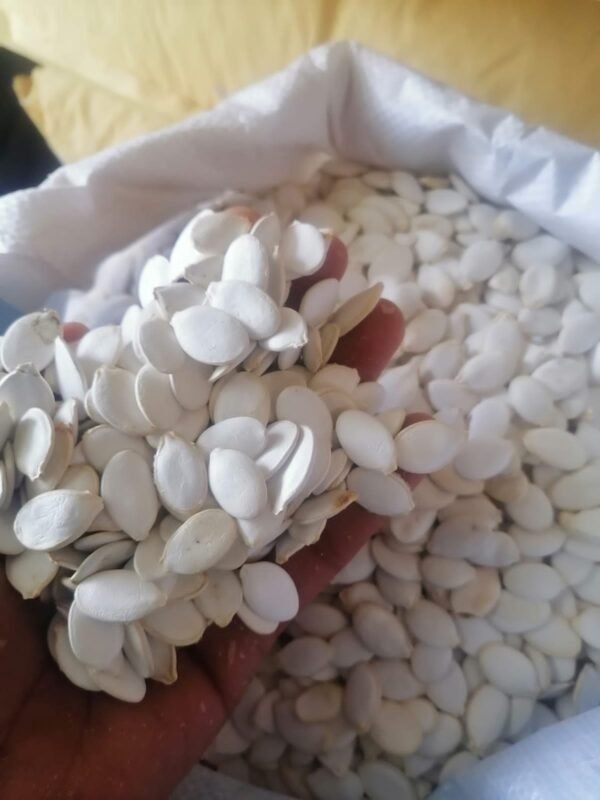 Raw Pumpkin Seeds (454g)