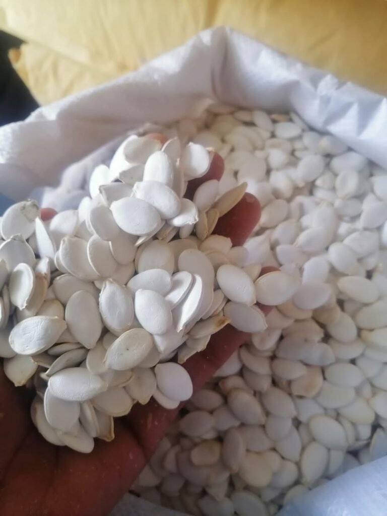 Raw Pumpkin Seeds (454g)